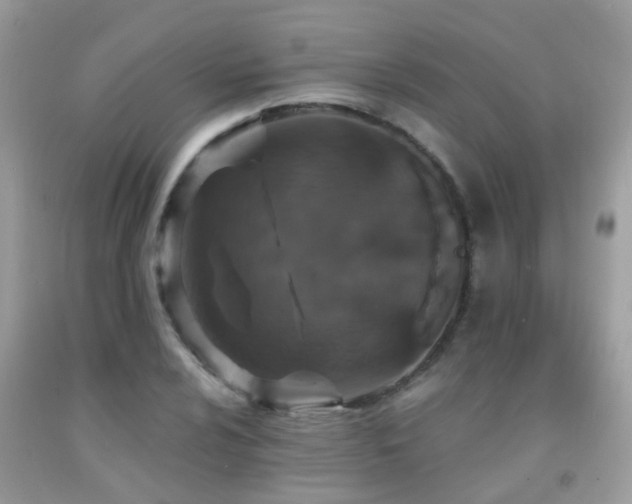 X0000091931024200709051457