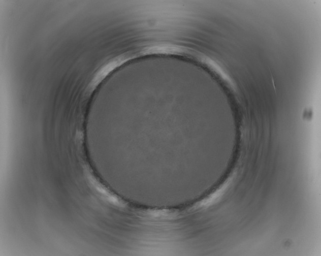 X0000091931025200709051457
