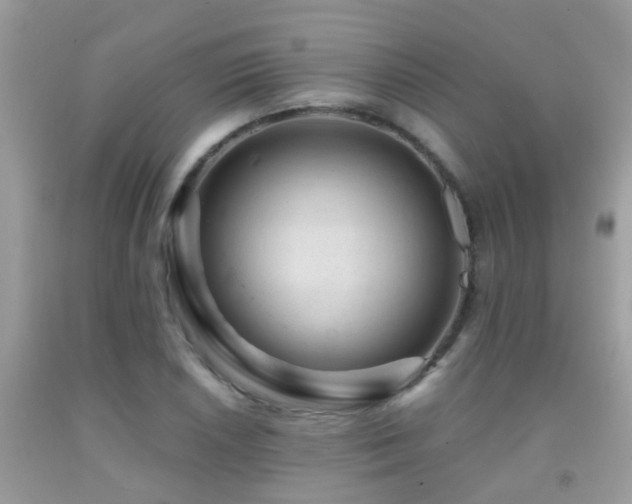 X0000091931026200709051457