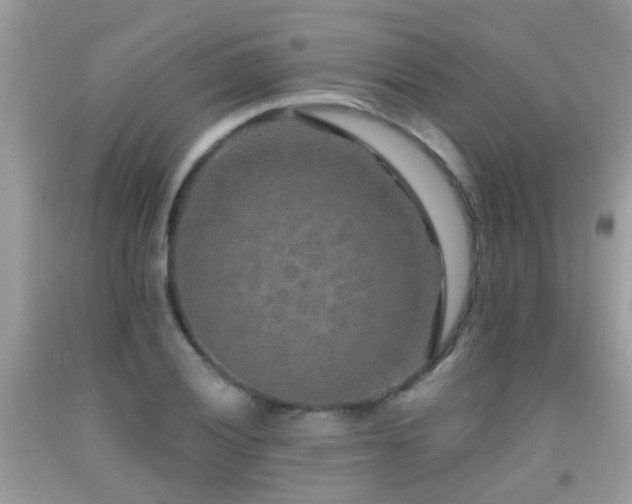 X0000091931028200709051457