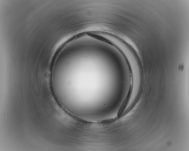 X0000091931029200709051457