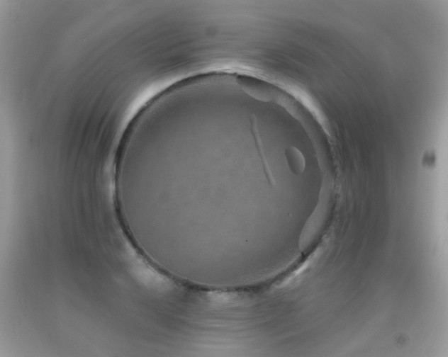 X0000091931032200709051457