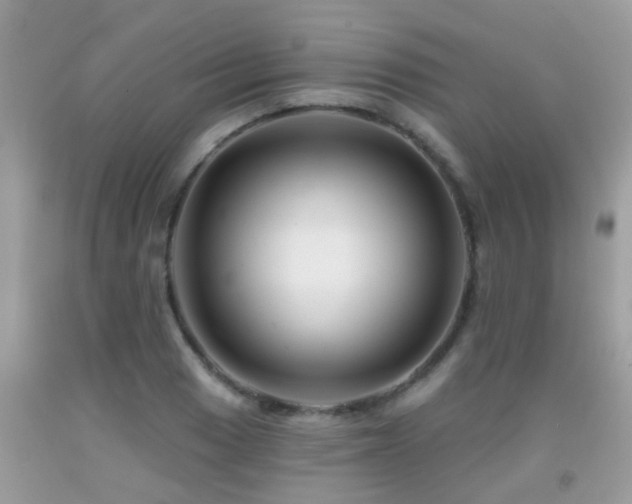 X0000091931033200709051457
