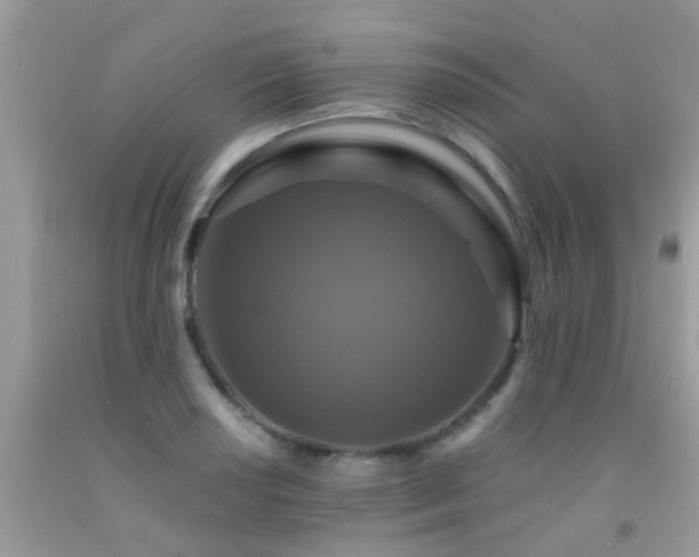 X0000091931034200709051457