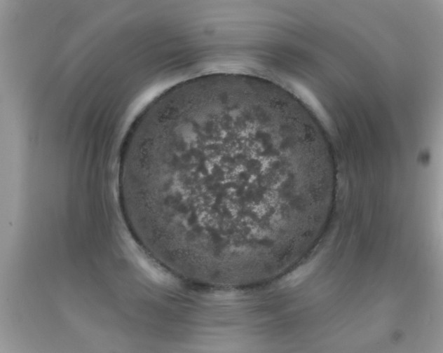 X0000091931035200709051457