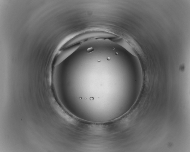 X0000091931036200709051457