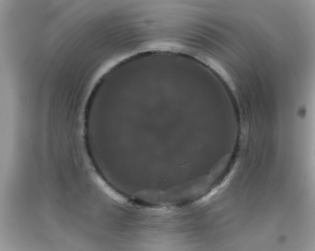 X0000091931037200709051457