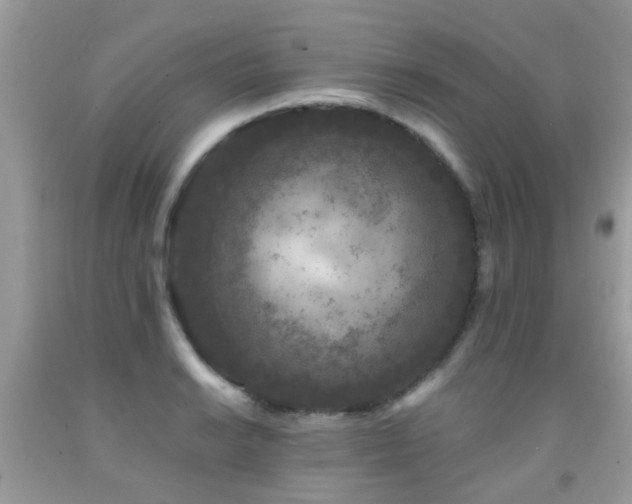 X0000091931038200709051457