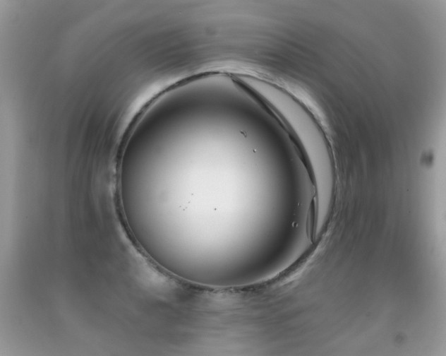 X0000091931040200709051457