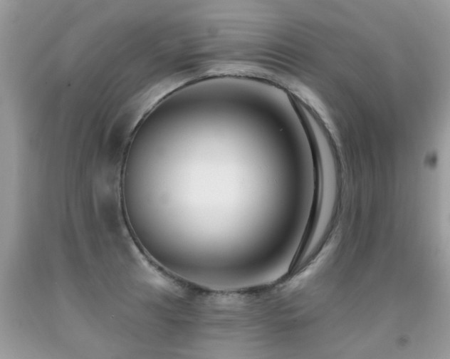 X0000091931041200709051457