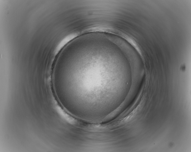 X0000091931042200709051457