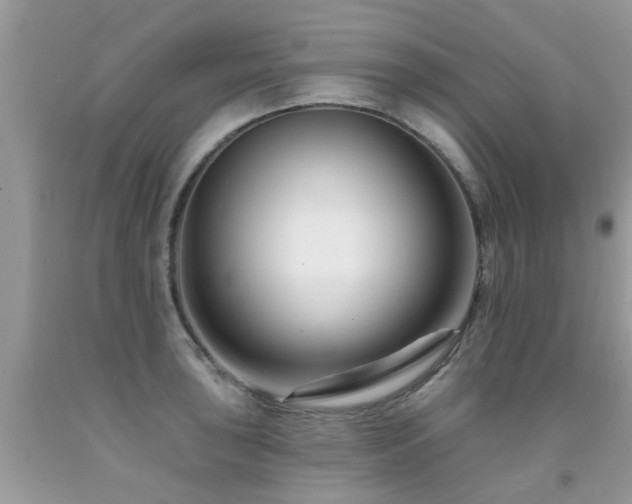 X0000091931043200709051457