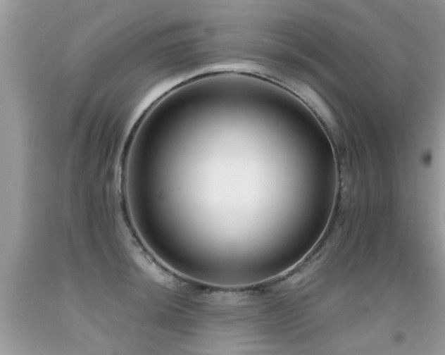 X0000091931044200709051457