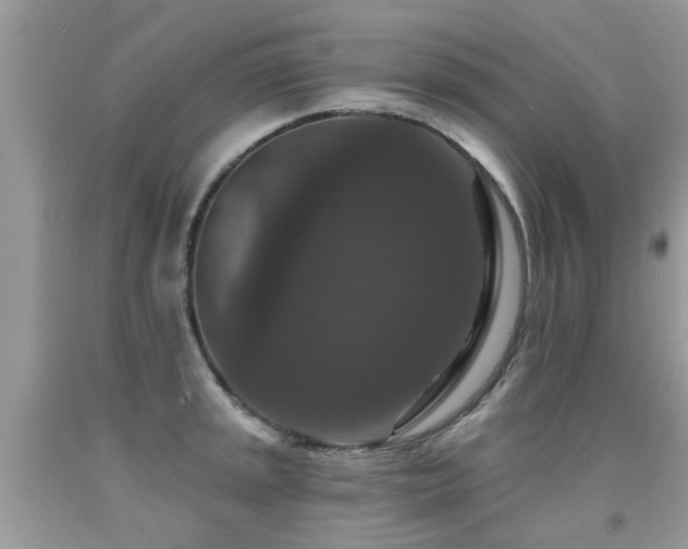 X0000091931045200709051457
