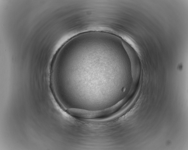 X0000091931046200709051457
