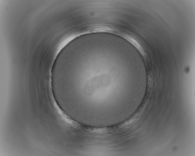 X0000091931047200709051457