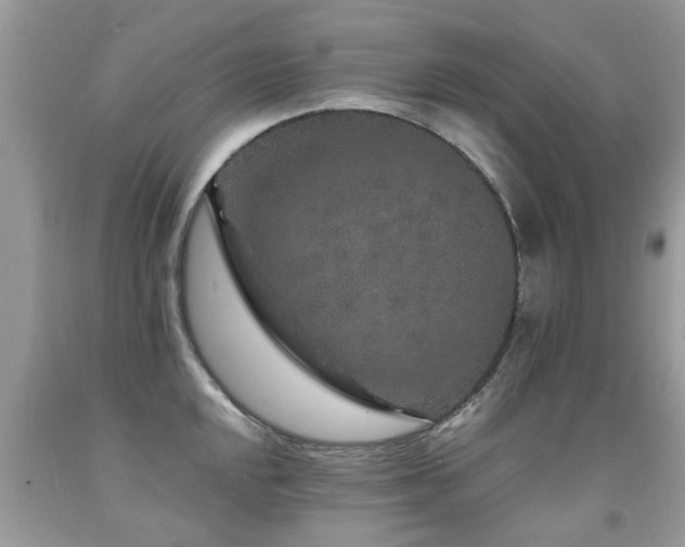 X0000091931048200709051457
