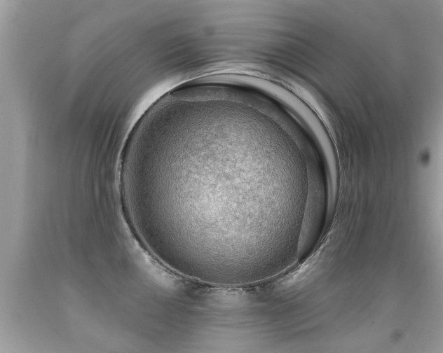 X0000091931050200709051457