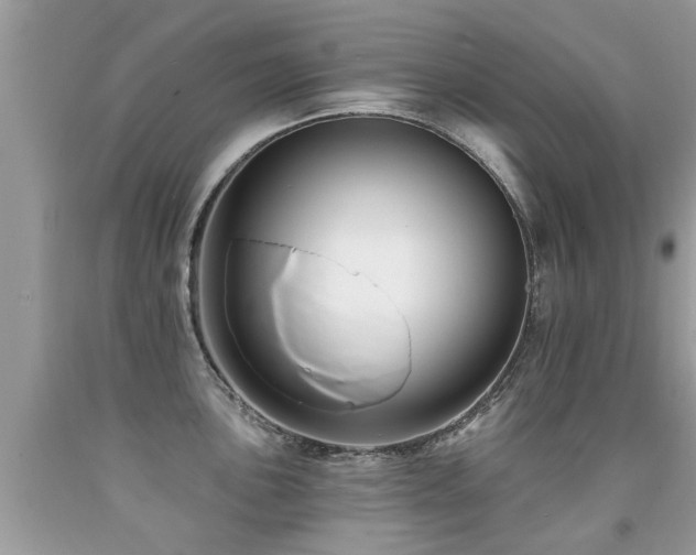X0000091931051200709051457
