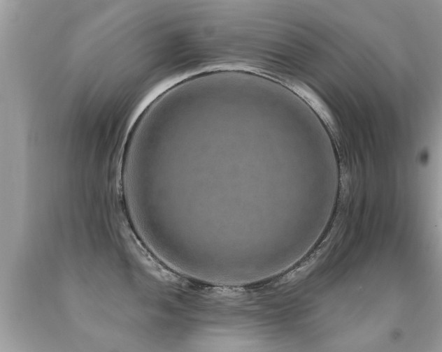 X0000091931052200709051457