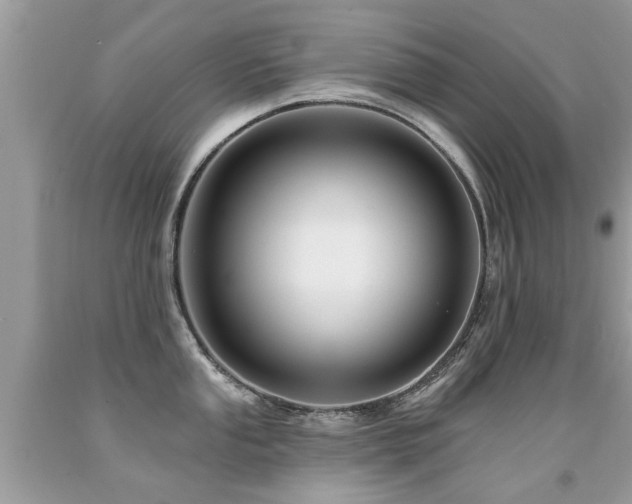 X0000091931053200709051457