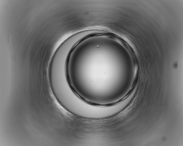 X0000091931054200709051457