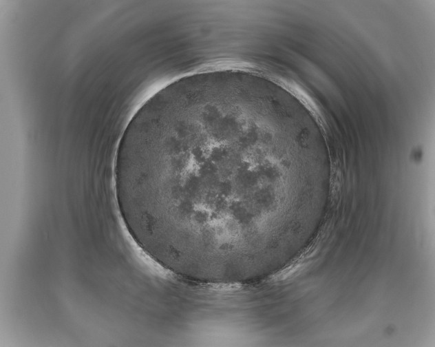 X0000091931055200709051457