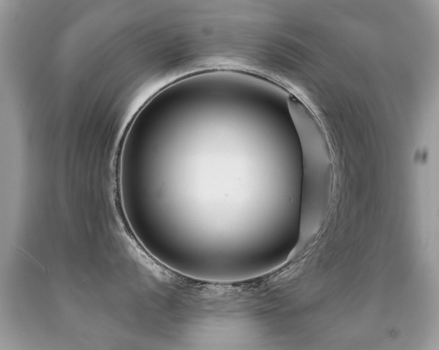 X0000091931056200709051457
