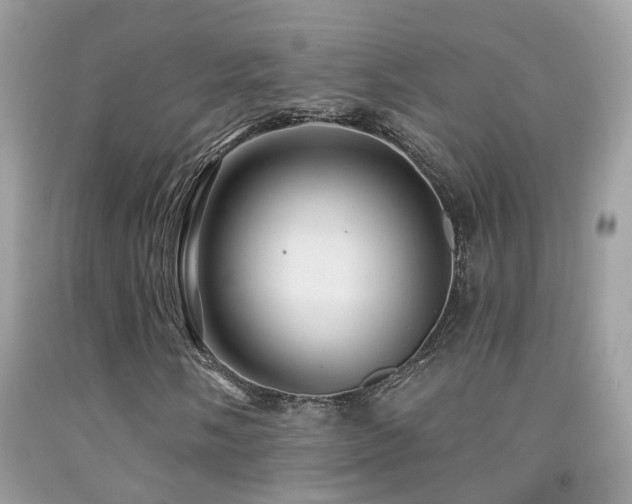X0000091931058200709051457