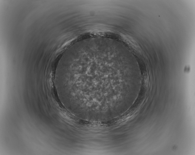X0000091931060200709051457