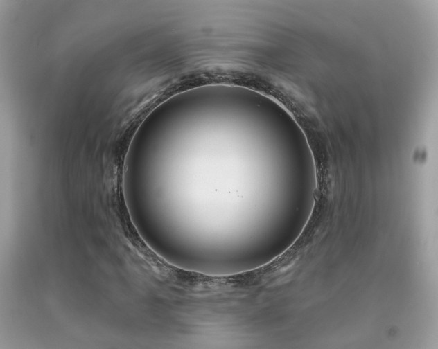 X0000091931061200709051457
