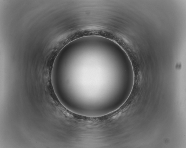 X0000091931062200709051457