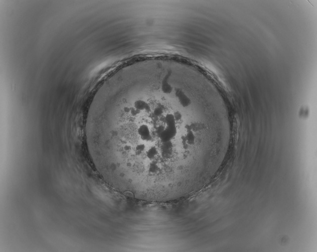 X0000091931063200709051457