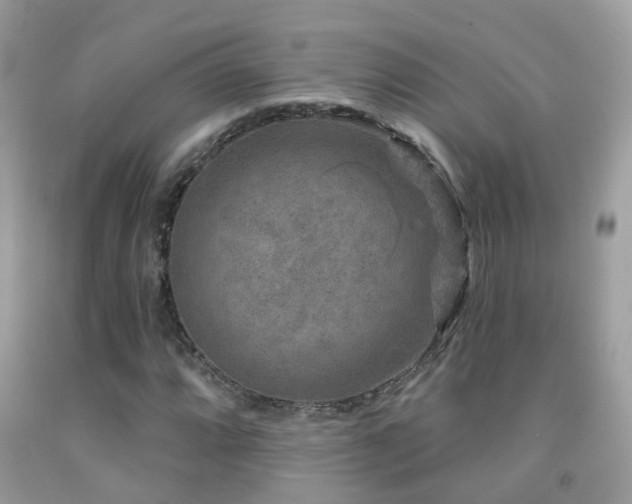 X0000091931064200709051457