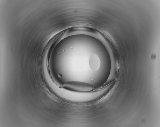 X0000091931065200709051457