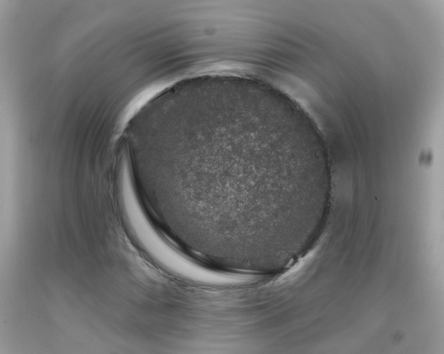 X0000091931066200709051457