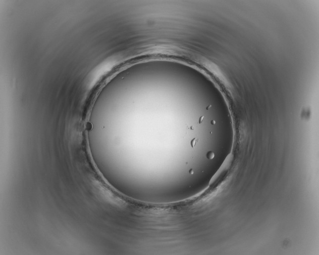 X0000091931067200709051457