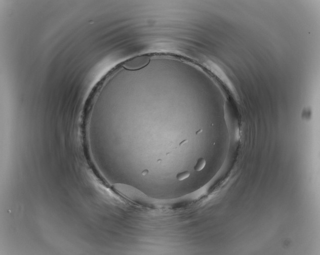 X0000091931068200709051457