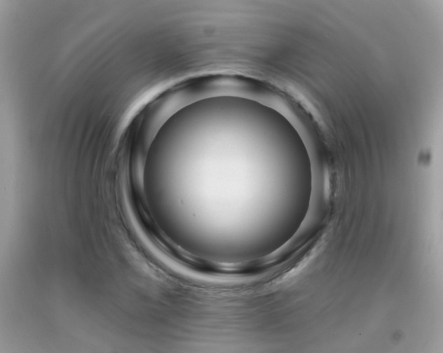 X0000091931069200709051457