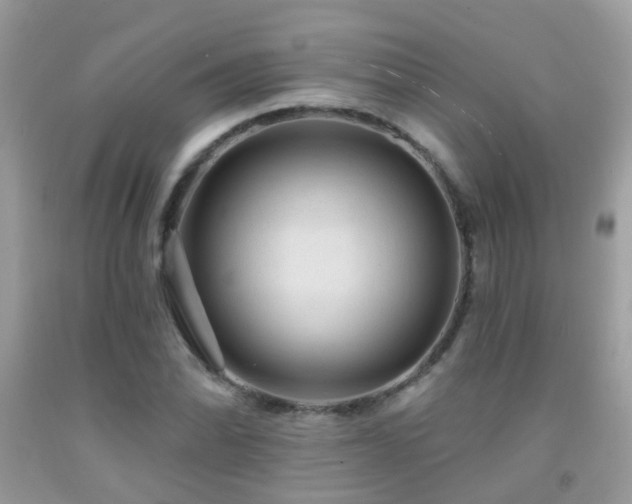 X0000091931070200709051457