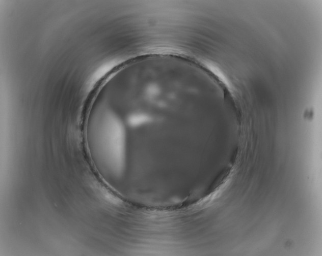 X0000091931071200709051457