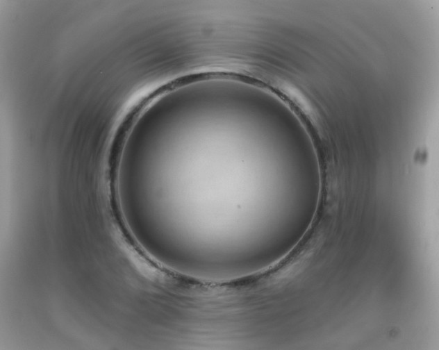X0000091931072200709051457
