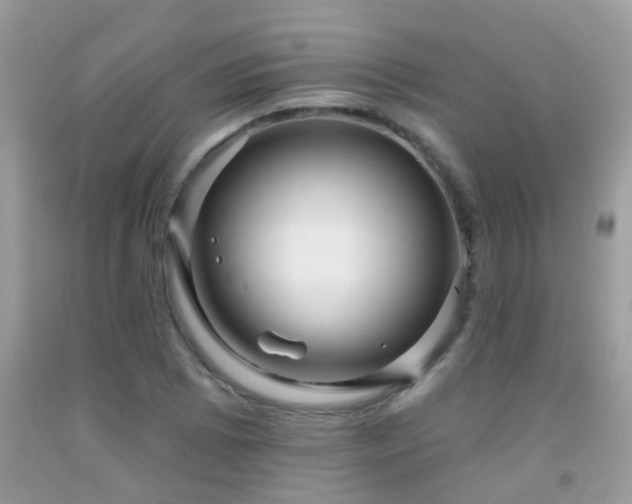 X0000091931073200709051457