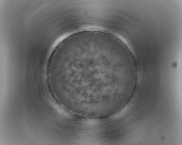 X0000091931074200709051457