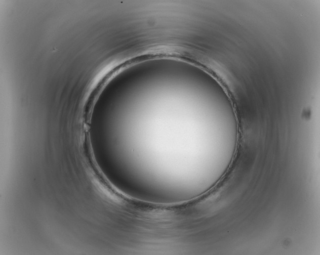 X0000091931075200709051457
