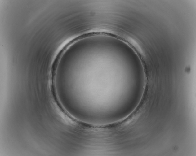 X0000091931076200709051457
