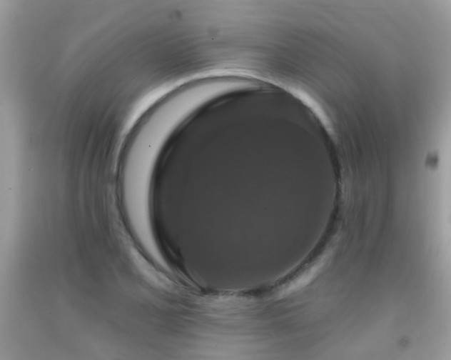 X0000091931077200709051457