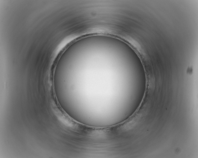 X0000091931078200709051457