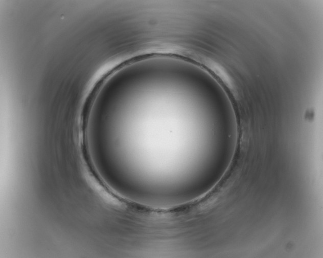X0000091931080200709051457