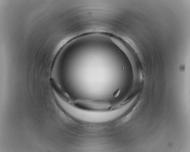 X0000091931081200709051457